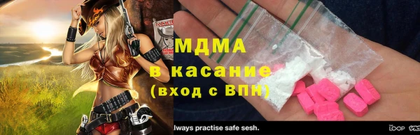 молекула духа Богданович