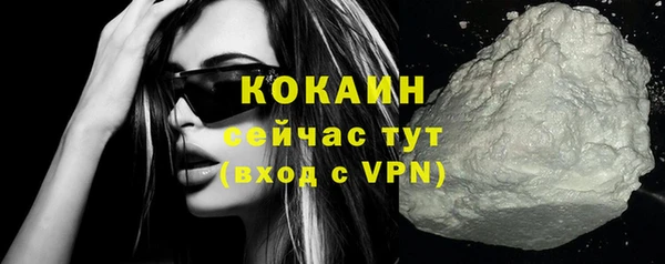 молекула духа Богданович