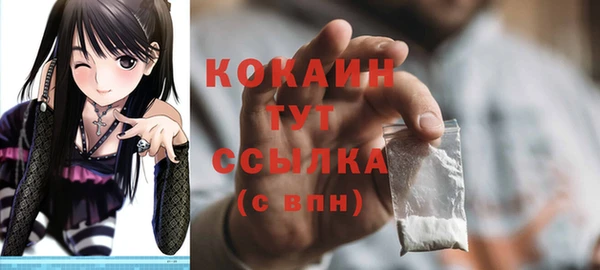 молекула духа Богородицк