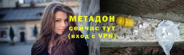 молекула духа Богданович