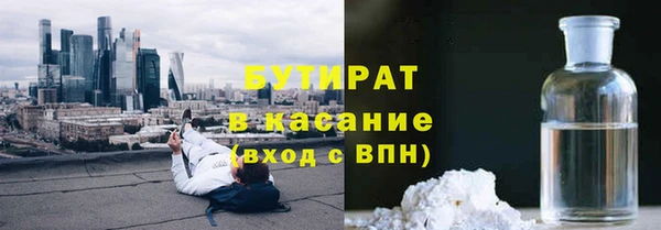 молекула духа Богданович
