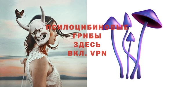 бутират Сатка