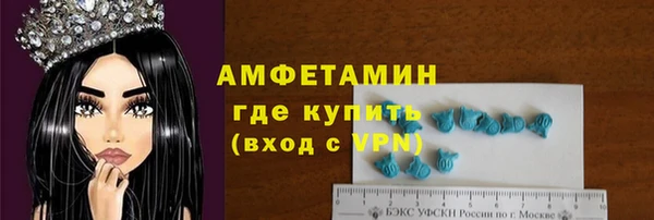 молекула духа Богородицк