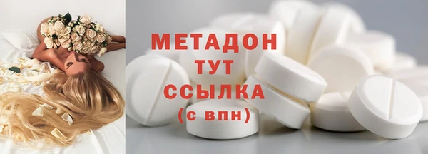 молекула духа Богданович