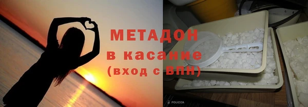 молекула духа Богданович