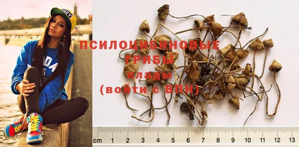 МДПВ Семилуки