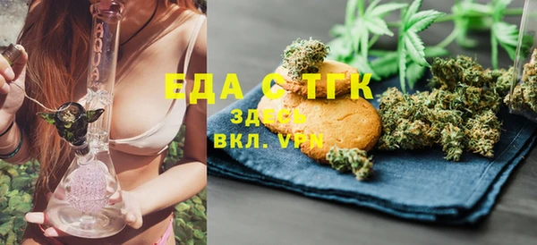 молекула духа Богородицк