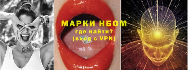 прущие грибы Белоозёрский