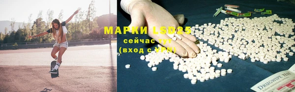 ГАЛЛЮЦИНОГЕННЫЕ ГРИБЫ Семёнов